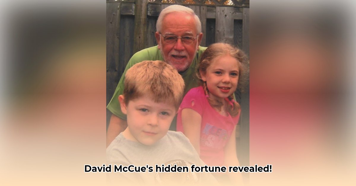 david-mccue-net-worth